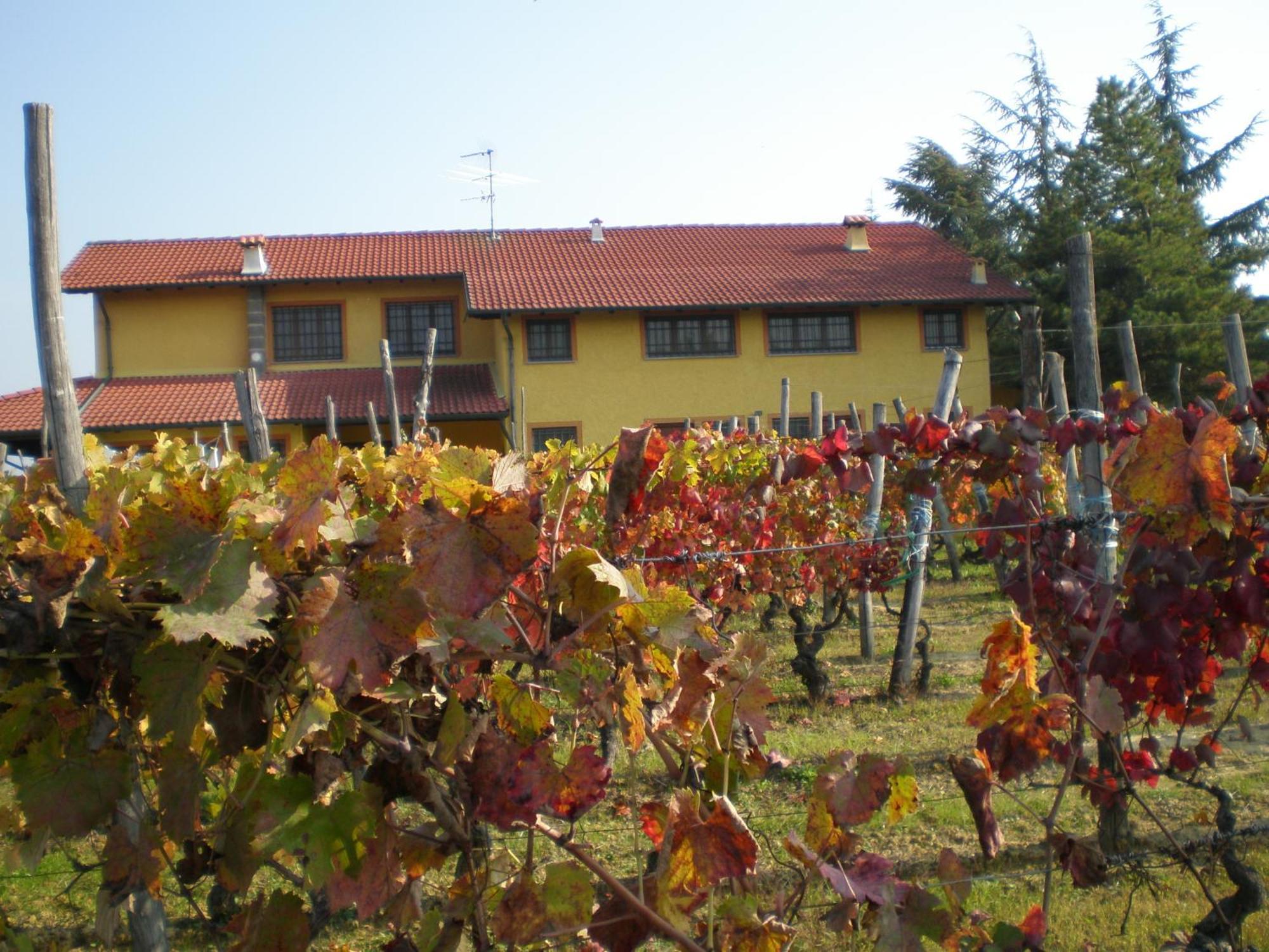 Cascina La Maddalena Bed & Wine Villa Rocca Grimalda Exterior photo