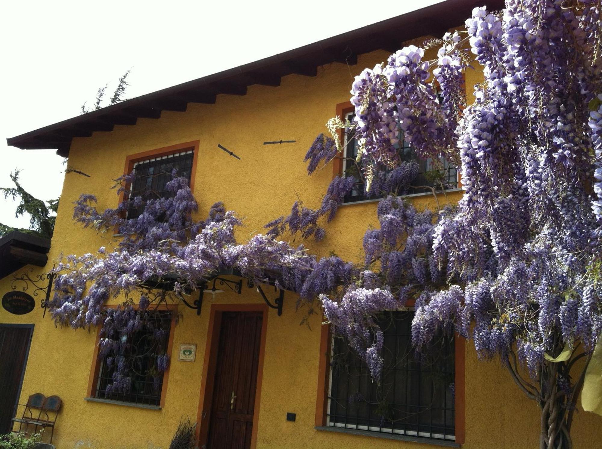 Cascina La Maddalena Bed & Wine Villa Rocca Grimalda Exterior photo