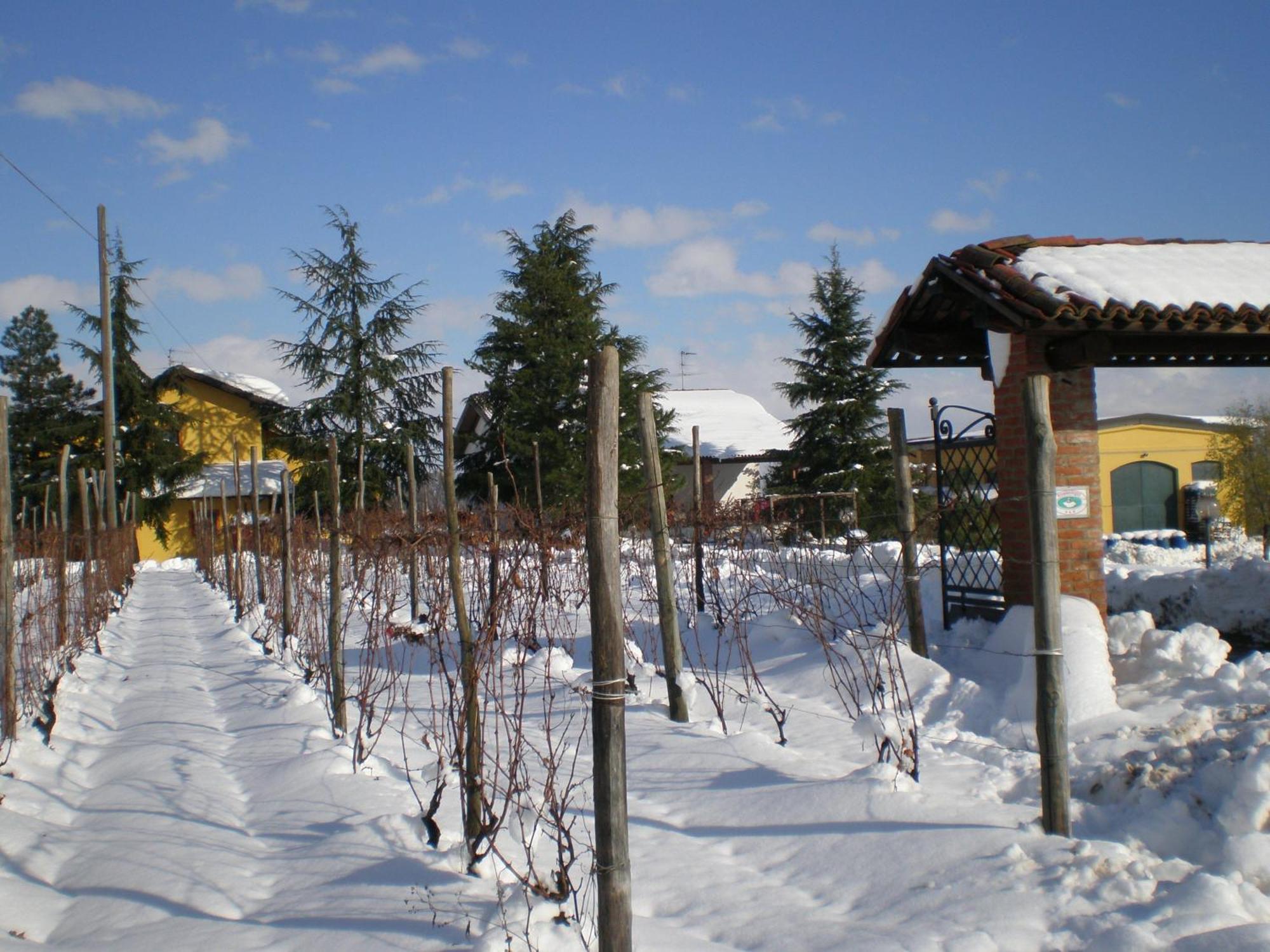 Cascina La Maddalena Bed & Wine Villa Rocca Grimalda Exterior photo