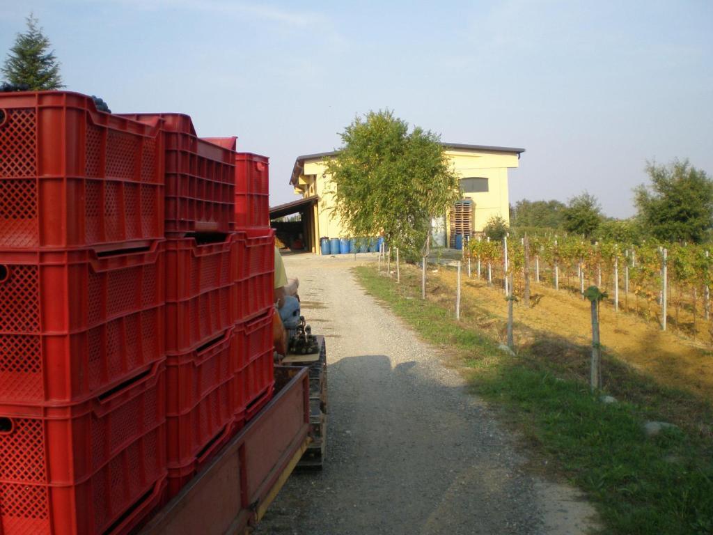 Cascina La Maddalena Bed & Wine Villa Rocca Grimalda Exterior photo